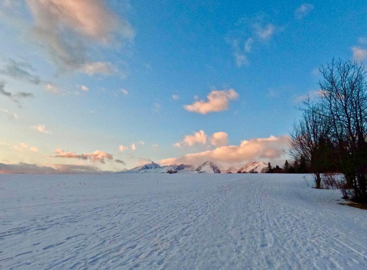 Apartment Tatry Mountain タトランスカー・シュトゥルバ エクステリア 写真